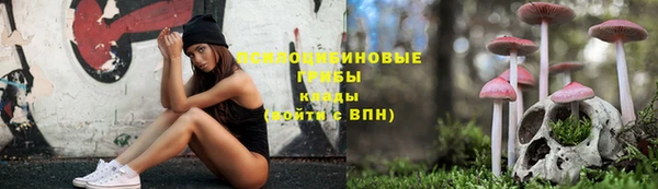 каннабис Баксан