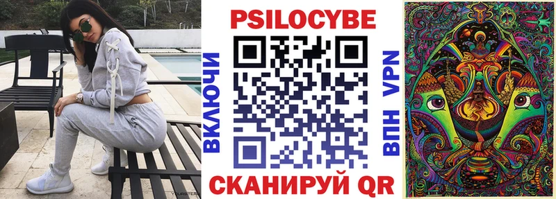 цена   Шимановск  Псилоцибиновые грибы Cubensis 
